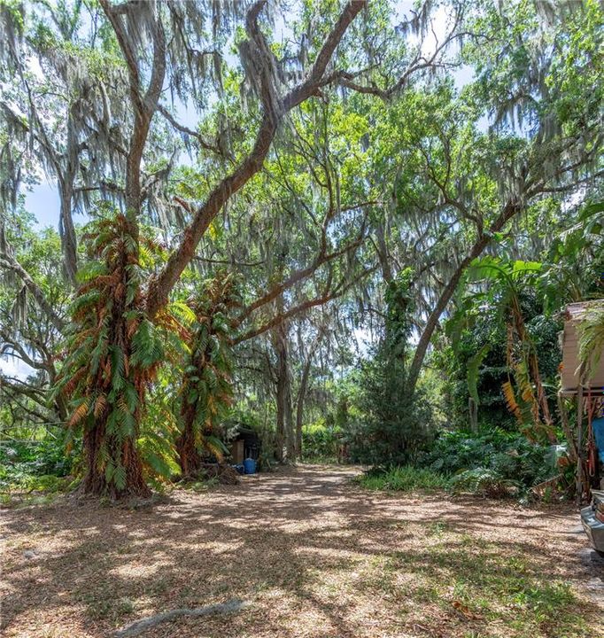 For Sale: $415,000 (3 beds, 2 baths, 1604 Square Feet)