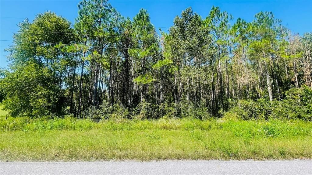 En Venta: $300,000 (20.00 acres)