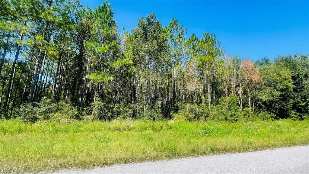 En Venta: $300,000 (20.00 acres)