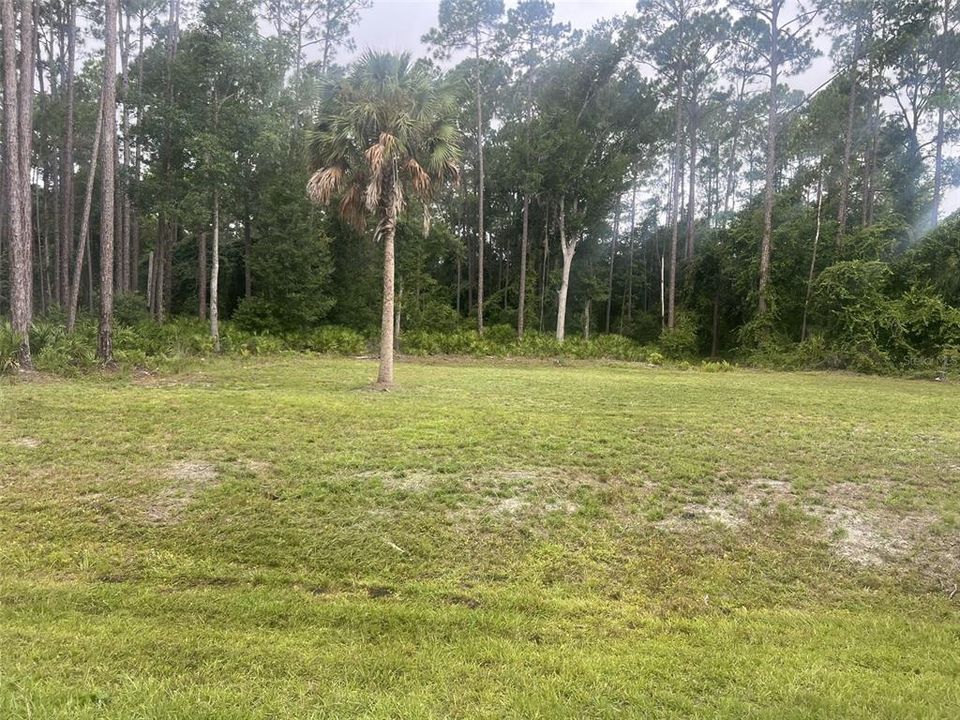 待售: $25,000 (0.35 acres)