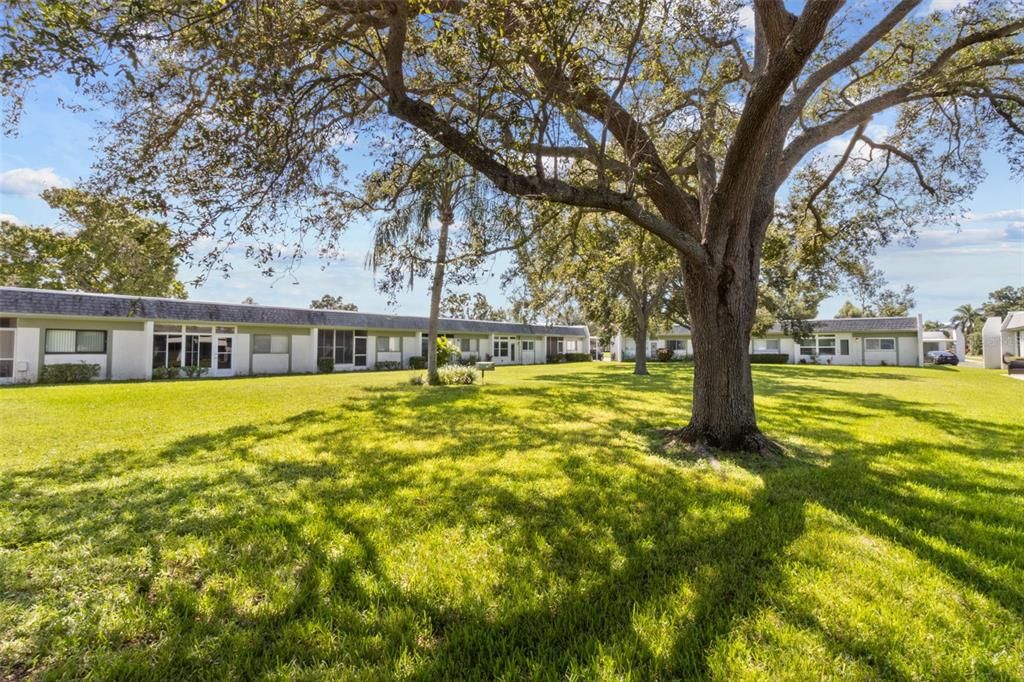 合同活跃: $116,500 (1 贝兹, 1 浴室, 635 平方英尺)