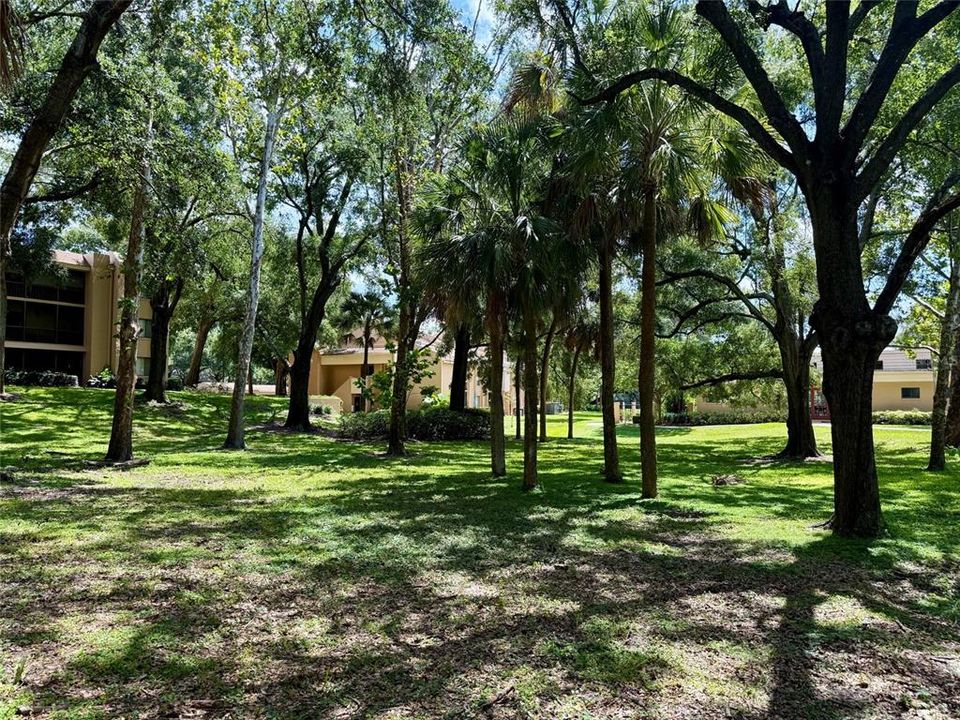 Под контрактом: $199,000 (2 спален, 2 ванн, 1341 Квадратных фут)