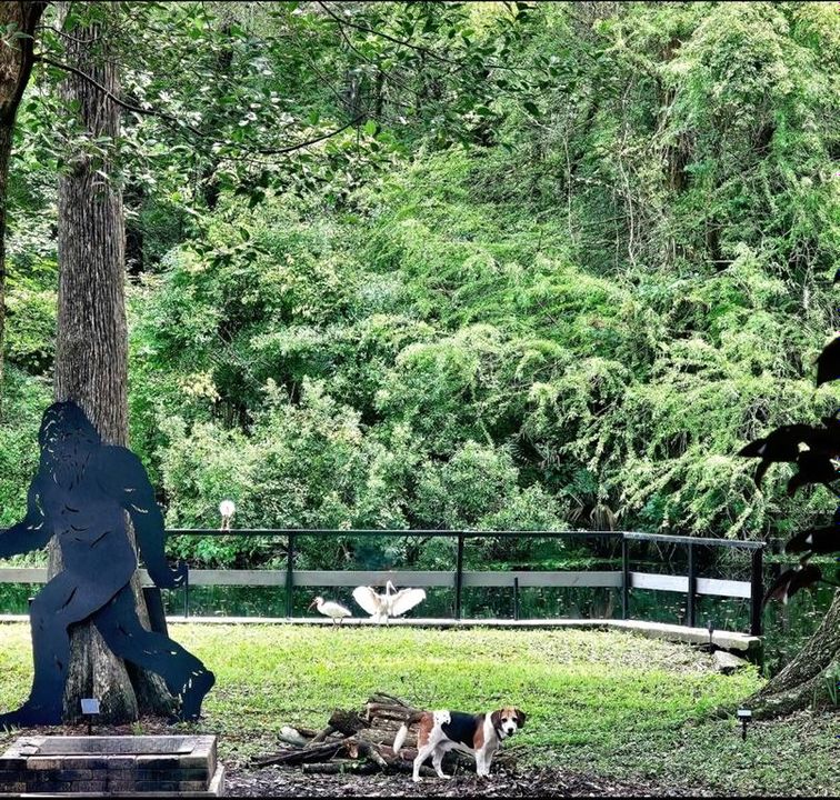 En Venta: $284,900 (2 camas, 1 baños, 990 Pies cuadrados)