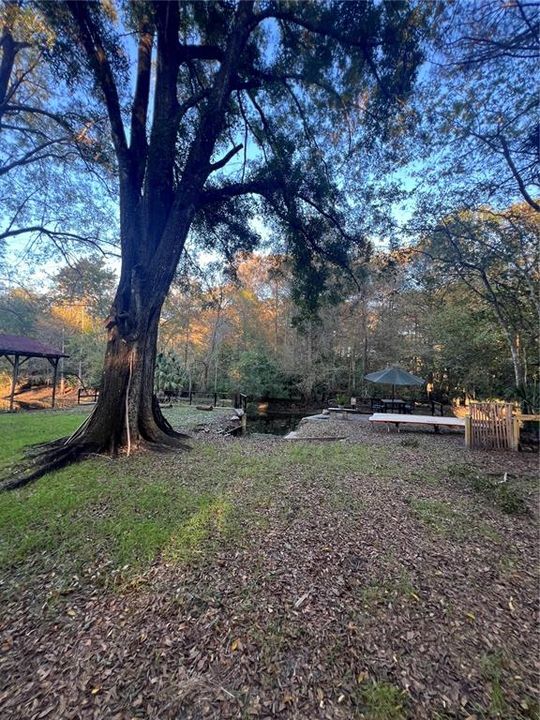 En Venta: $284,900 (2 camas, 1 baños, 990 Pies cuadrados)