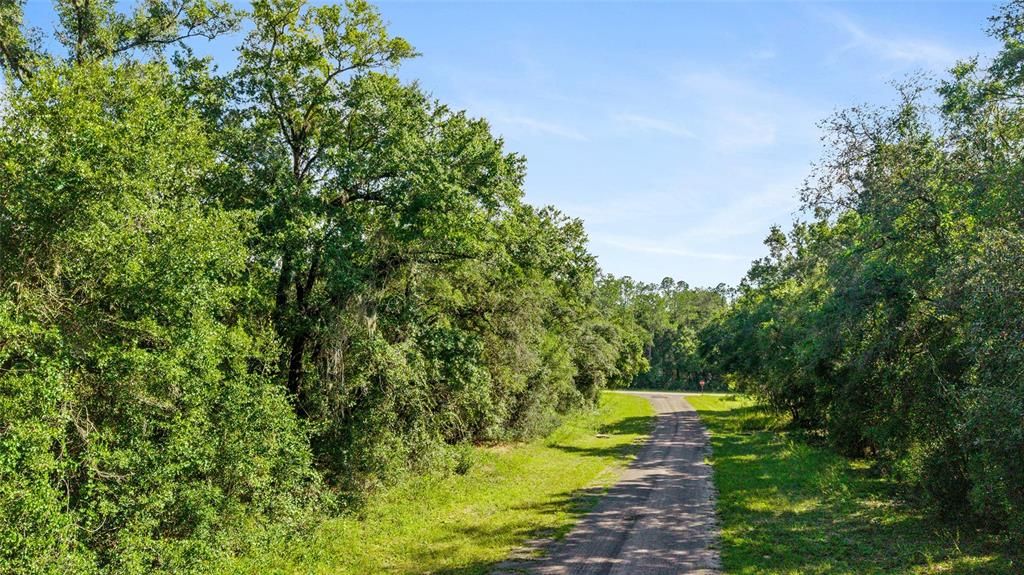 待售: $17,500 (0.23 acres)