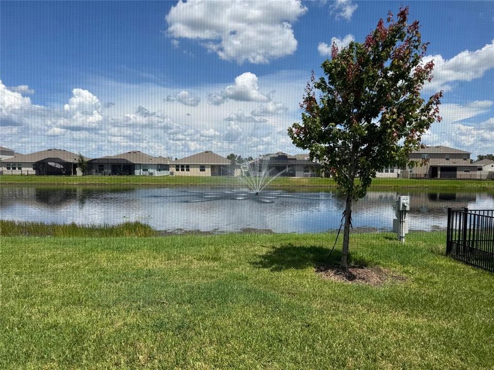 出租: $7,200 (4 贝兹, 2 浴室, 2045 平方英尺)