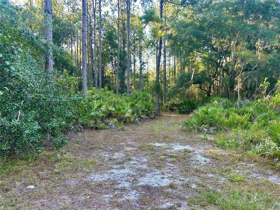 Недавно продано: $69,500 (6.26 acres)