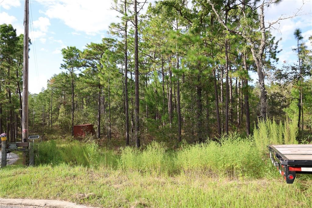 For Sale: $99,999 (5.22 acres)