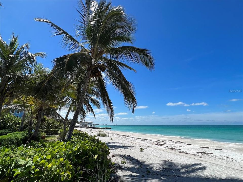 На продажу: $5,000,000 (5 спален, 3 ванн, 3492 Квадратных фут)