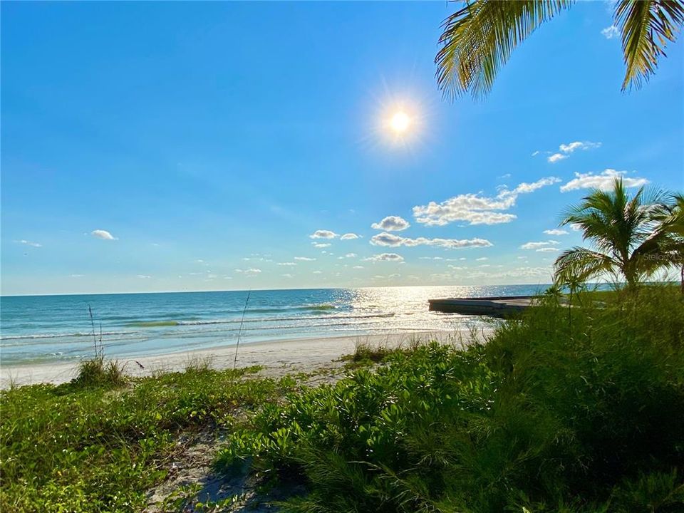 На продажу: $5,000,000 (5 спален, 3 ванн, 3492 Квадратных фут)