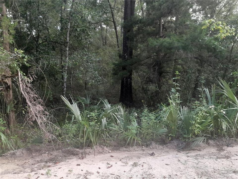 For Sale: $12,500 (0.32 acres)