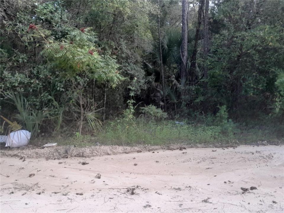 For Sale: $12,500 (0.32 acres)