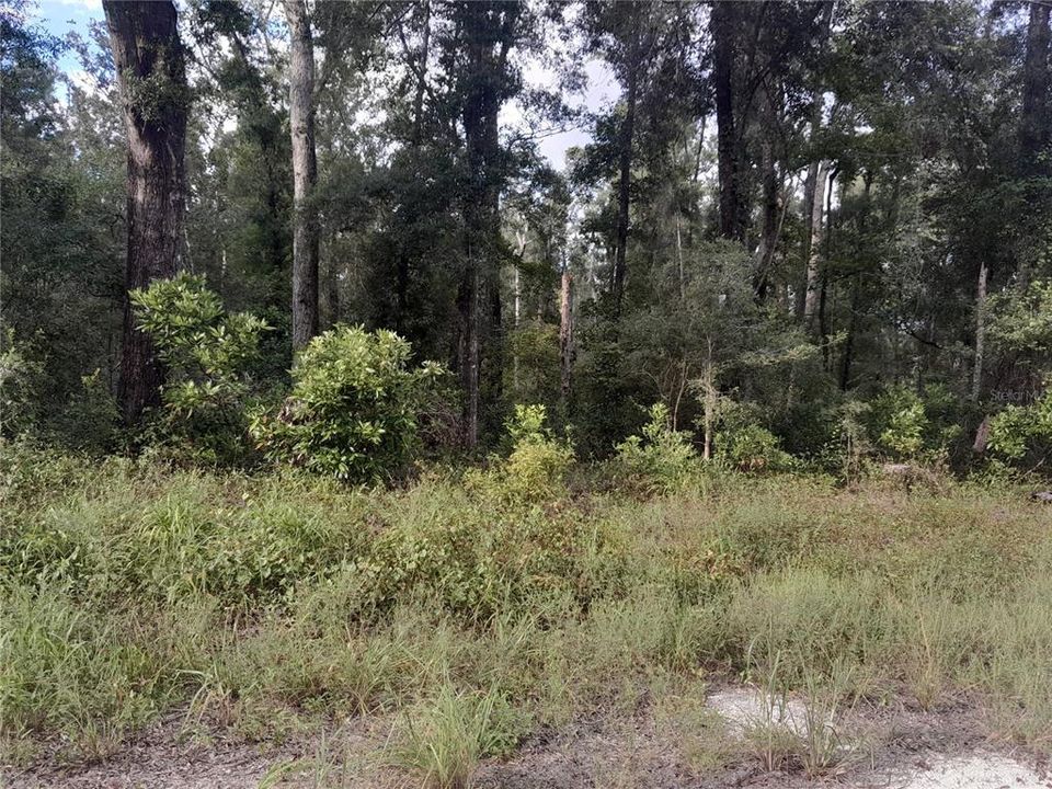 For Sale: $75,000 (5.09 acres)