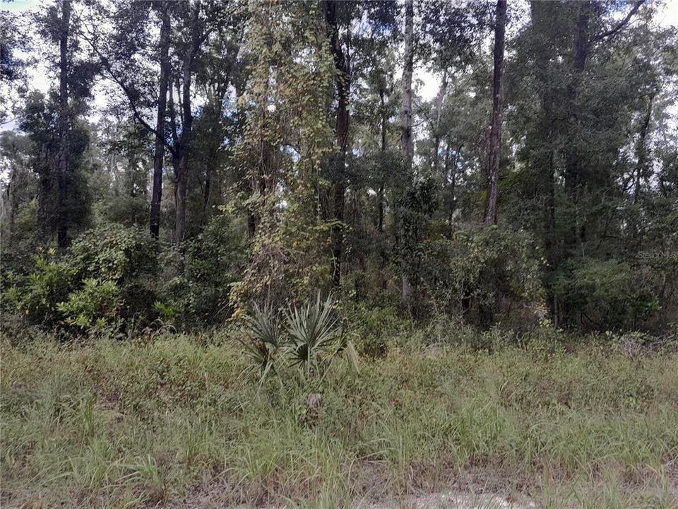 For Sale: $75,000 (5.09 acres)