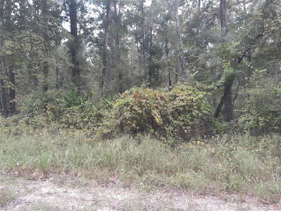 For Sale: $75,000 (5.09 acres)