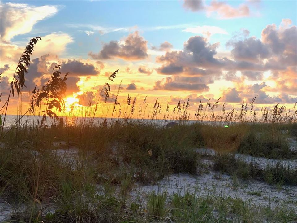 En Renta: $3,900 (2 camas, 2 baños, 1240 Pies cuadrados)