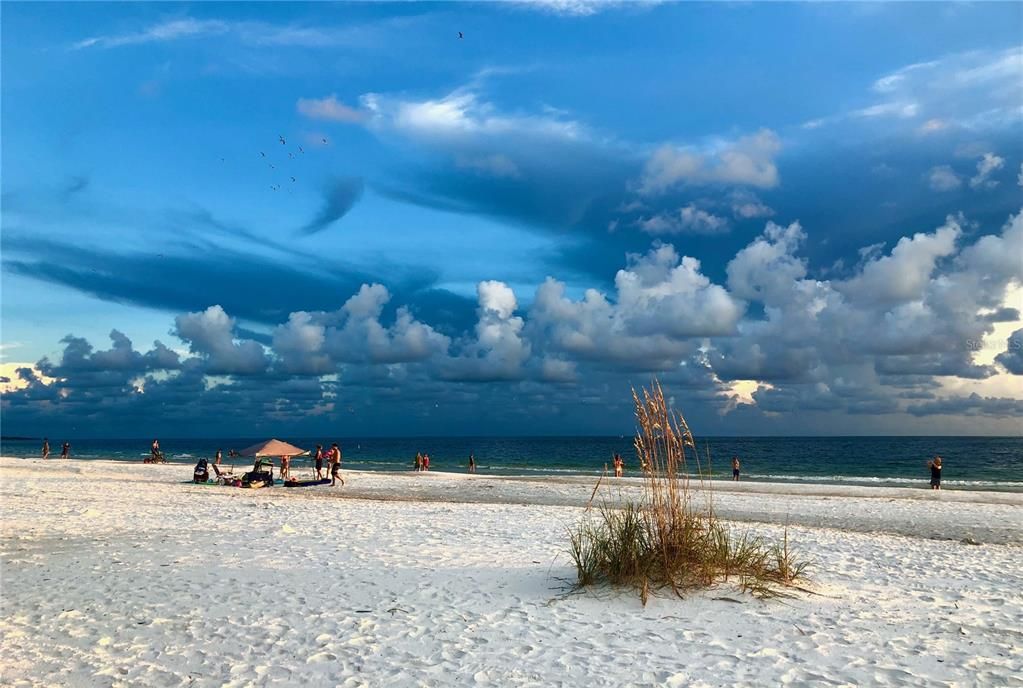 En Renta: $3,900 (2 camas, 2 baños, 1240 Pies cuadrados)