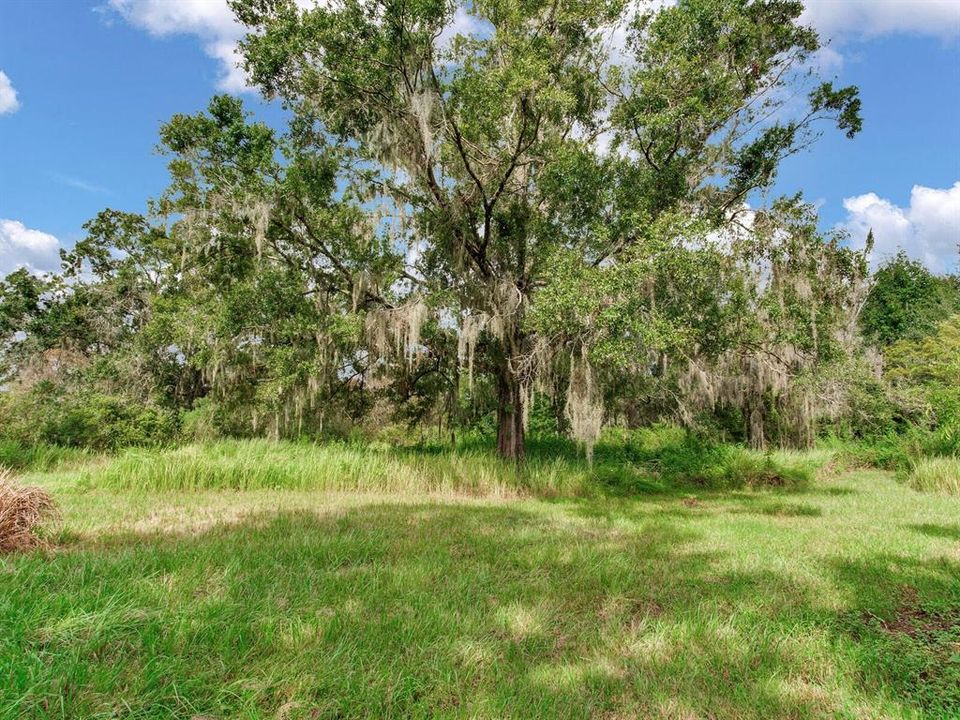 待售: $925,000 (5 贝兹, 3 浴室, 3112 平方英尺)