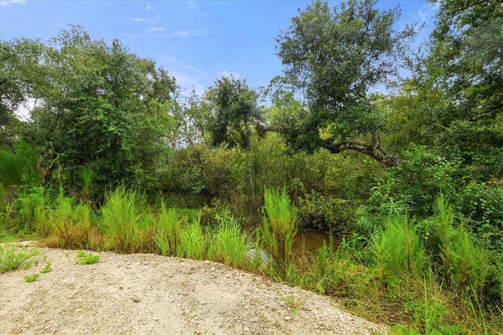 待售: $42,500 (1.65 acres)