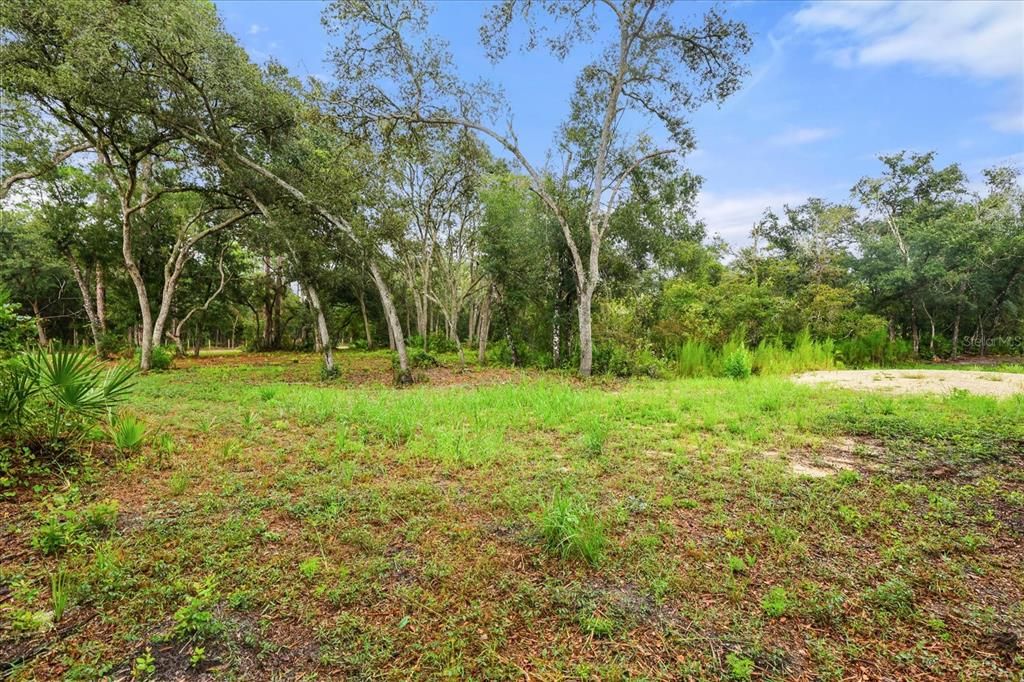 待售: $42,500 (1.65 acres)