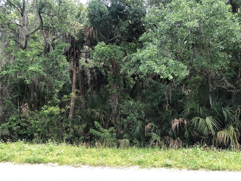 En Venta: $599,000 (6.82 acres)