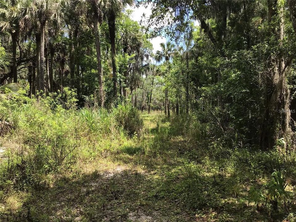 En Venta: $599,000 (6.82 acres)