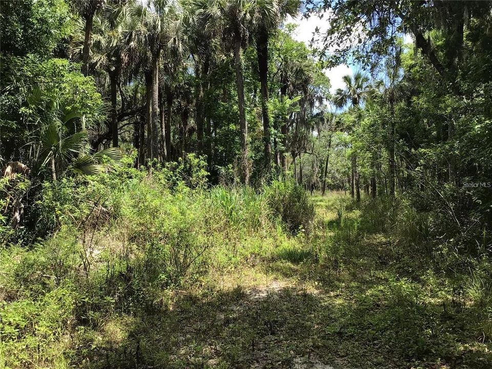 En Venta: $599,000 (6.82 acres)