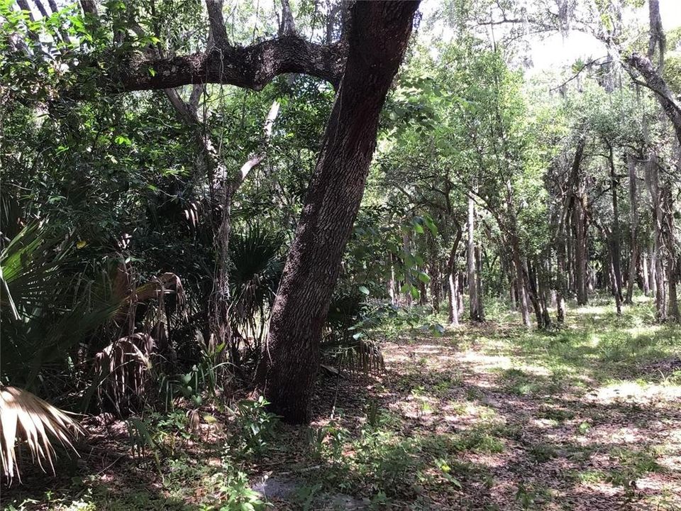 En Venta: $599,000 (6.82 acres)