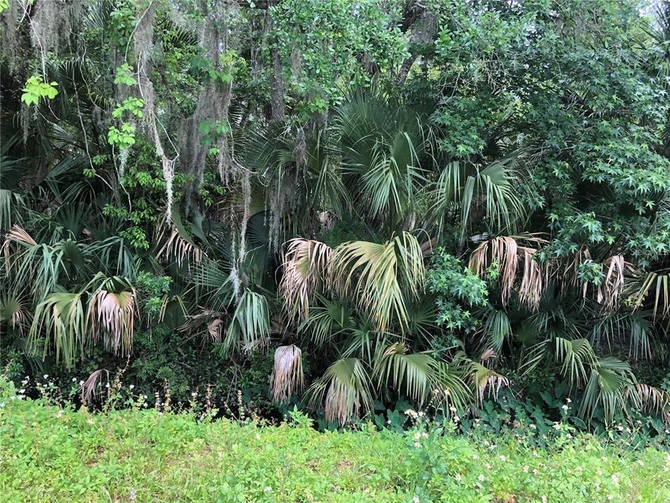 En Venta: $599,000 (6.82 acres)