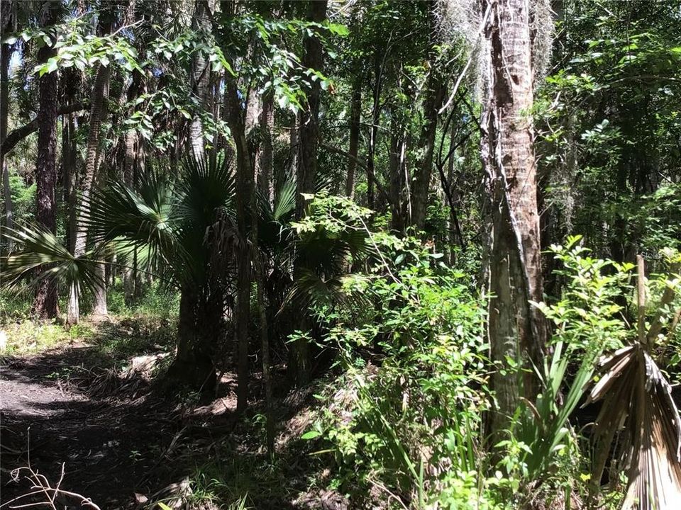 En Venta: $599,000 (6.82 acres)