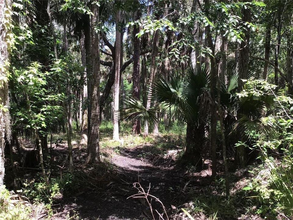 En Venta: $599,000 (6.82 acres)