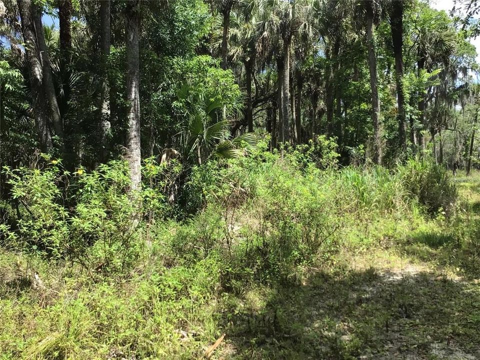 En Venta: $599,000 (6.82 acres)