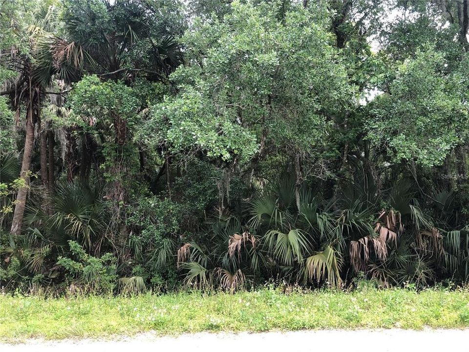 En Venta: $599,000 (6.82 acres)