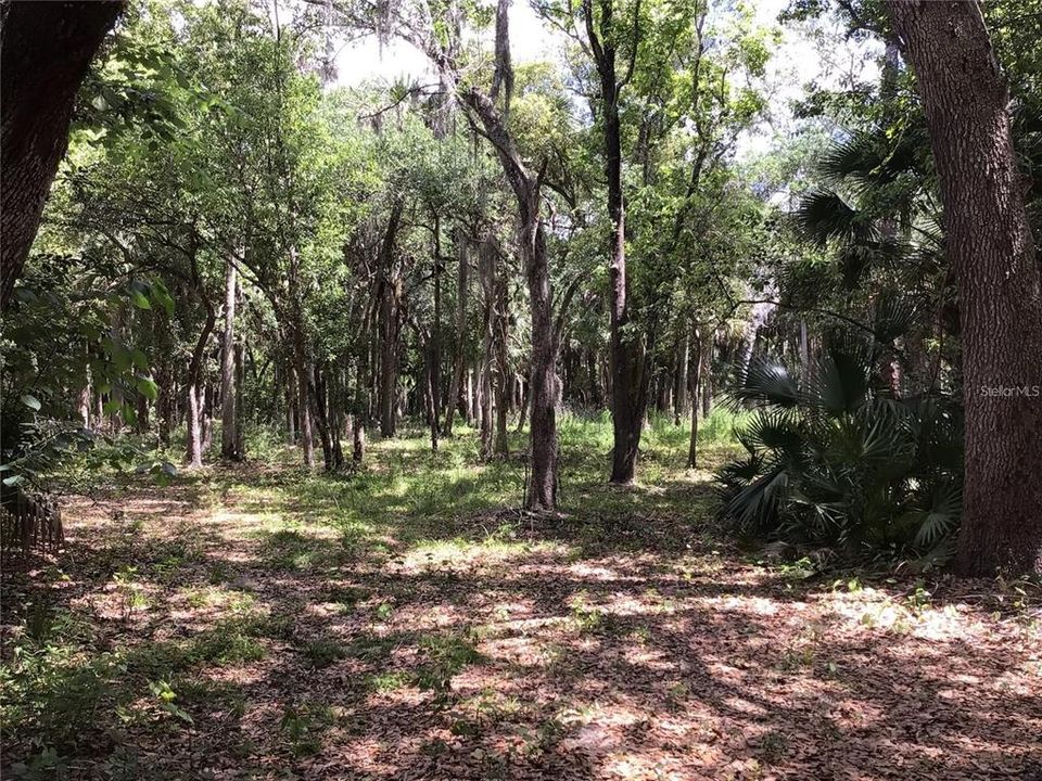 En Venta: $599,000 (6.82 acres)