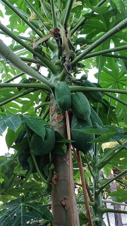 For Sale: $299,900 (3 beds, 5 baths, 1400 Square Feet)