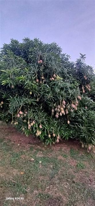 For Sale: $299,900 (3 beds, 5 baths, 1400 Square Feet)