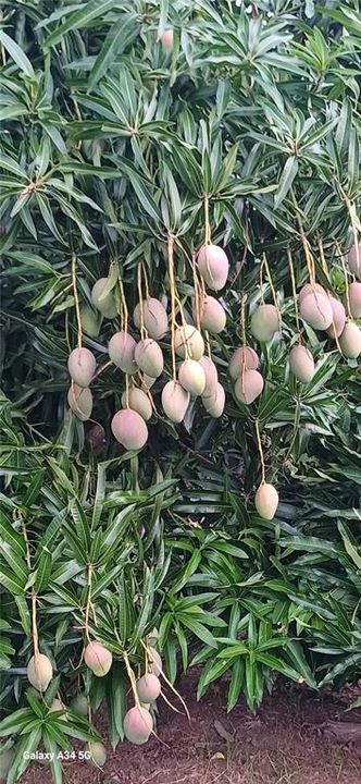 For Sale: $299,900 (3 beds, 5 baths, 1400 Square Feet)