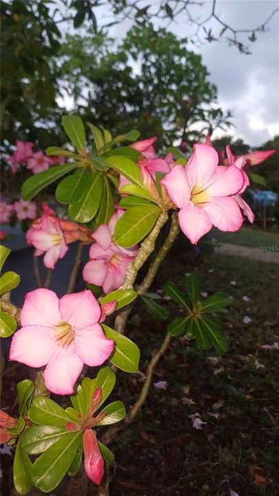 For Sale: $299,900 (3 beds, 5 baths, 1400 Square Feet)