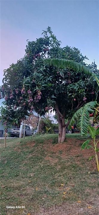 For Sale: $299,900 (3 beds, 5 baths, 1400 Square Feet)