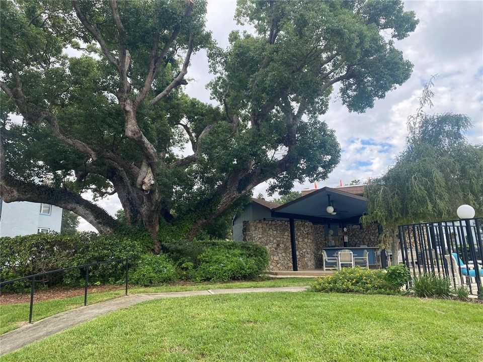 待售: $110,000 (2 贝兹, 2 浴室, 1030 平方英尺)