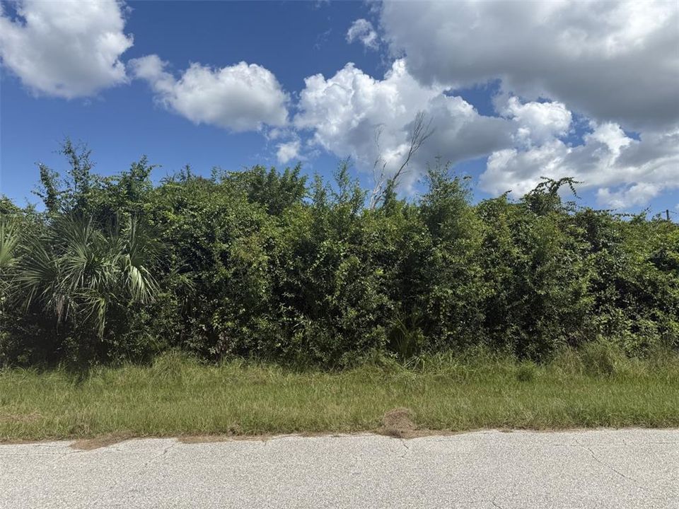 Activo con contrato: $17,000 (0.23 acres)