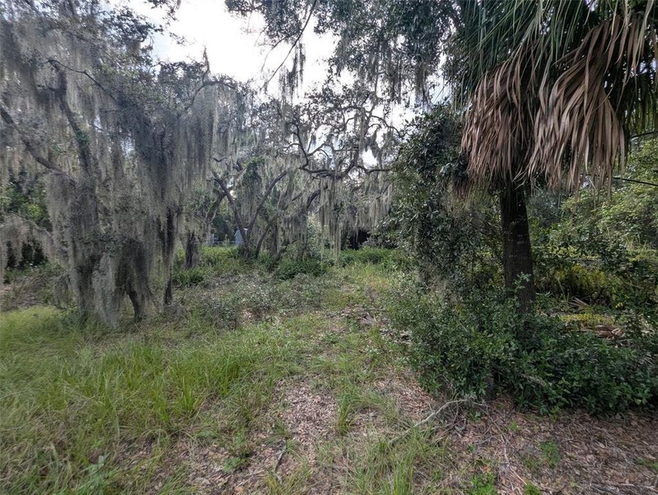 Под контрактом: $435,000 (3 спален, 3 ванн, 2428 Квадратных фут)