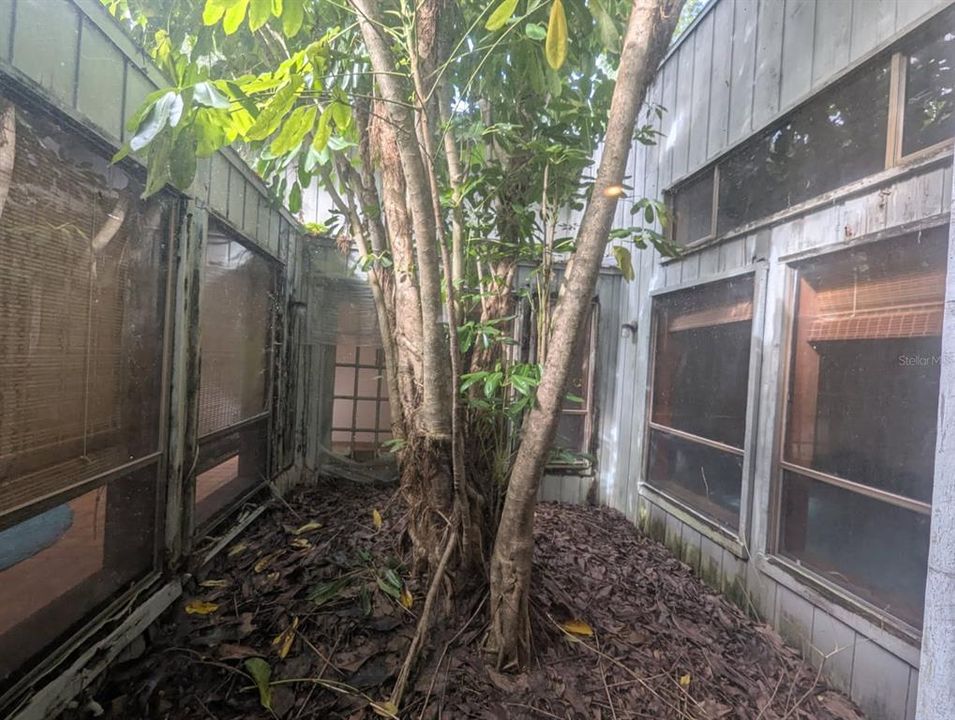 Под контрактом: $435,000 (3 спален, 3 ванн, 2428 Квадратных фут)