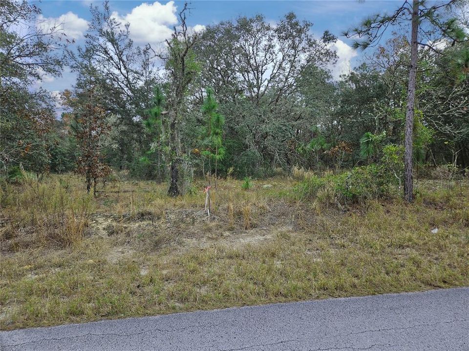 For Sale: $89,999 (2.04 acres)