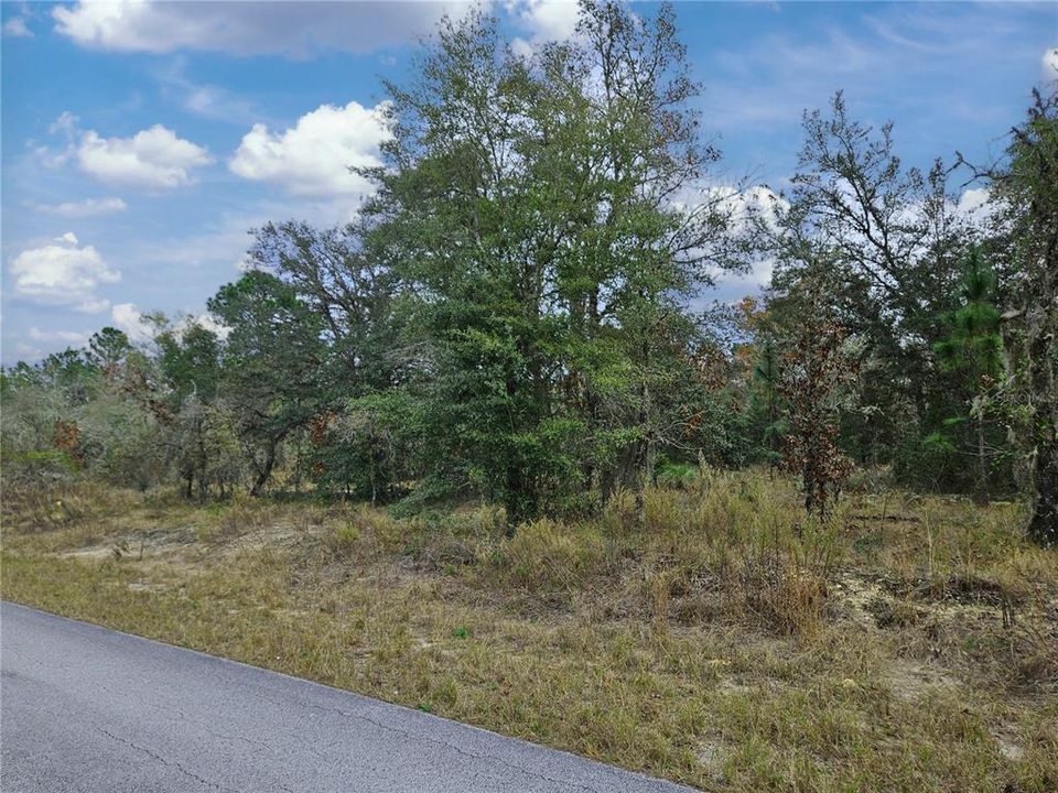 For Sale: $89,999 (2.04 acres)