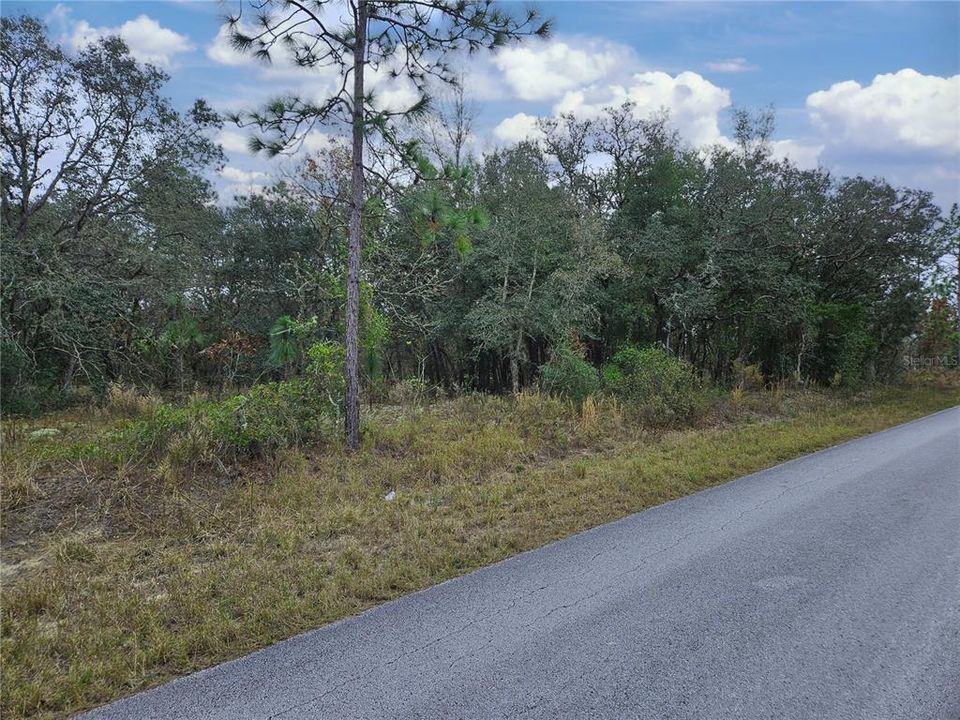 For Sale: $89,999 (2.04 acres)