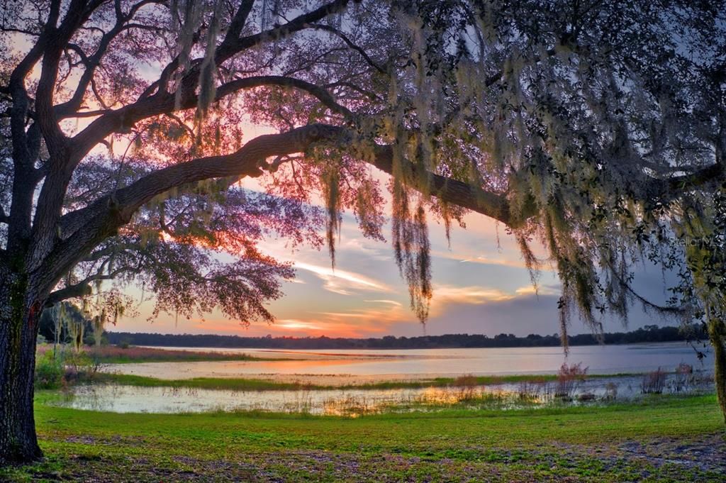 For Sale: $260,000 (3 beds, 2 baths, 1513 Square Feet)