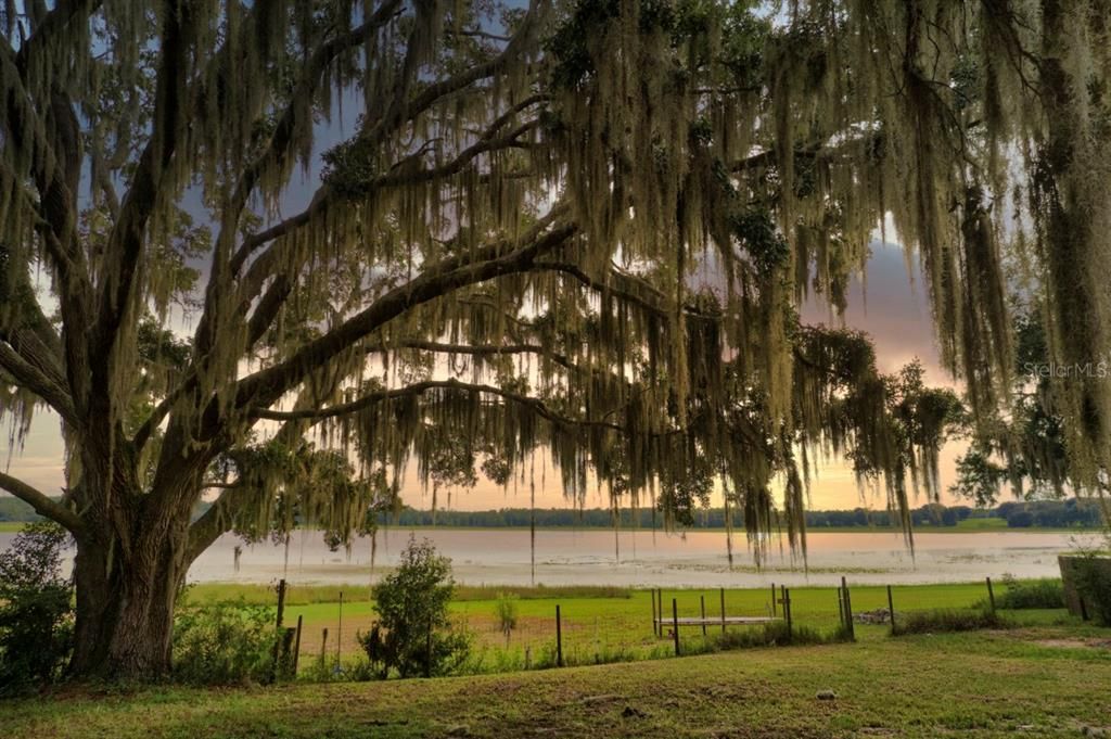 For Sale: $260,000 (3 beds, 2 baths, 1513 Square Feet)