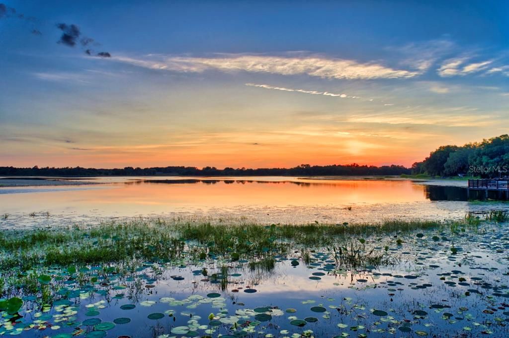 For Sale: $260,000 (3 beds, 2 baths, 1513 Square Feet)