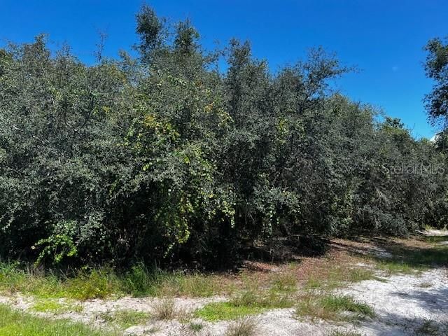 For Sale: $50,000 (0.29 acres)